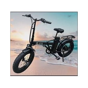 BICI ELETTRICA FATBIKE V15