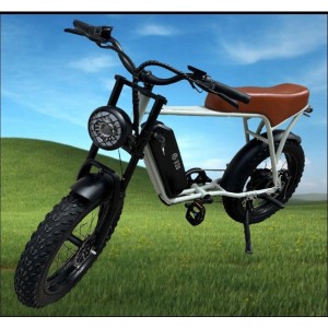 BICI ELETTRICA AS V30