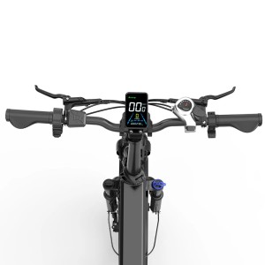 BICI ELETTRICA FATBIKE OVIVO V2