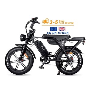 BICI ELETTRICA C80