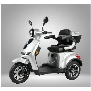 E-Scooter TRI-ROAD -Piombo