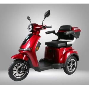 E-Scooter TRI-ROAD - Litio