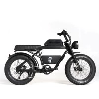Bici elettriche